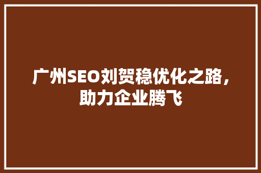 广州SEO刘贺稳优化之路，助力企业腾飞