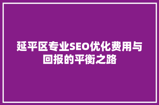延平区专业SEO优化费用与回报的平衡之路