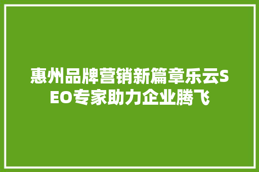 惠州品牌营销新篇章乐云SEO专家助力企业腾飞