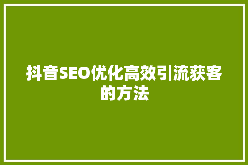 抖音SEO优化高效引流获客的方法