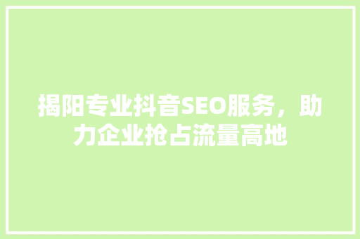 揭阳专业抖音SEO服务，助力企业抢占流量高地