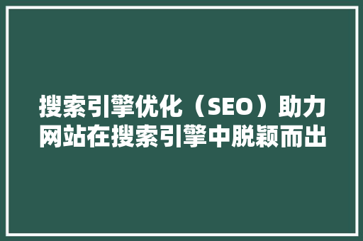 搜索引擎优化（SEO）助力网站在搜索引擎中脱颖而出