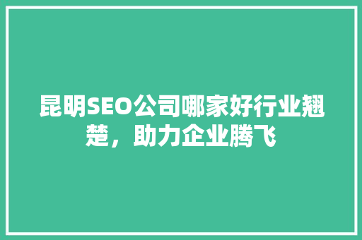昆明SEO公司哪家好行业翘楚，助力企业腾飞