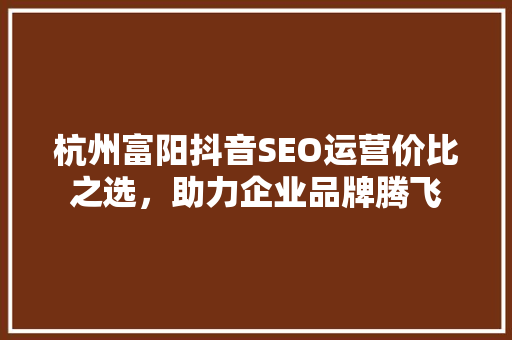 杭州富阳抖音SEO运营价比之选，助力企业品牌腾飞