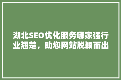 湖北SEO优化服务哪家强行业翘楚，助您网站脱颖而出