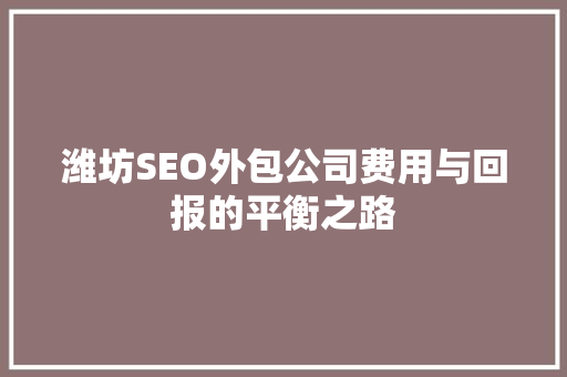 潍坊SEO外包公司费用与回报的平衡之路