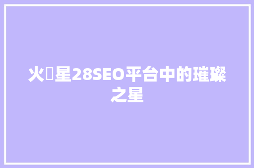 火亅星28SEO平台中的璀璨之星