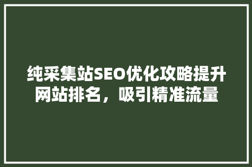 纯采集站SEO优化攻略提升网站排名，吸引精准流量