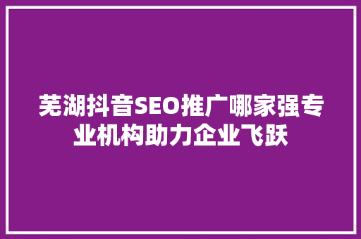 芜湖抖音SEO推广哪家强专业机构助力企业飞跃