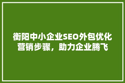 衡阳中小企业SEO外包优化营销步骤，助力企业腾飞