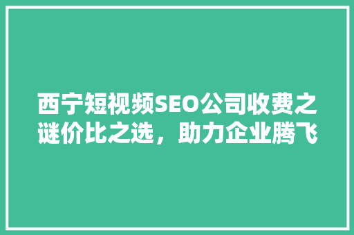 西宁短视频SEO公司收费之谜价比之选，助力企业腾飞