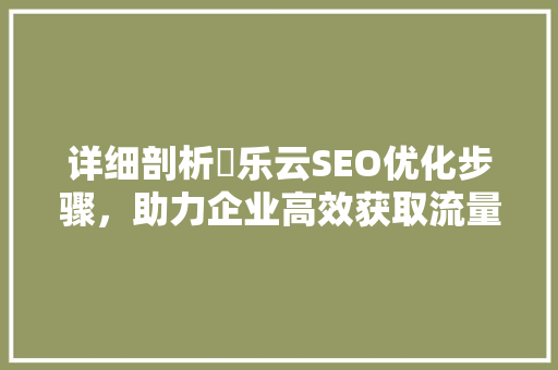 详细剖析乚乐云SEO优化步骤，助力企业高效获取流量