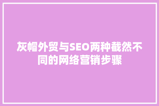 灰帽外贸与SEO两种截然不同的网络营销步骤