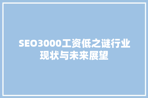 SEO3000工资低之谜行业现状与未来展望