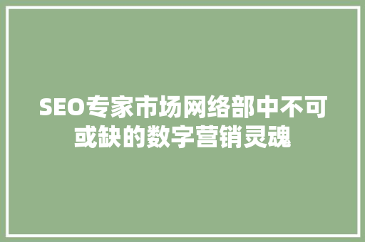 SEO专家市场网络部中不可或缺的数字营销灵魂
