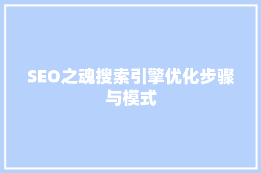 SEO之魂搜索引擎优化步骤与模式