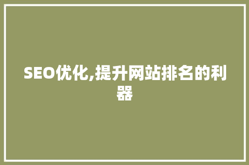 SEO优化,提升网站排名的利器