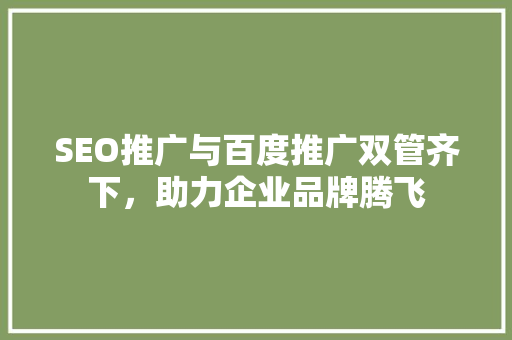 SEO推广与百度推广双管齐下，助力企业品牌腾飞