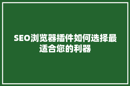 SEO浏览器插件如何选择最适合您的利器