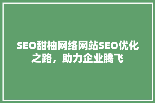 SEO甜柚网络网站SEO优化之路，助力企业腾飞