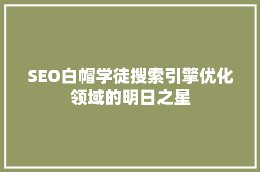 SEO白帽学徒搜索引擎优化领域的明日之星