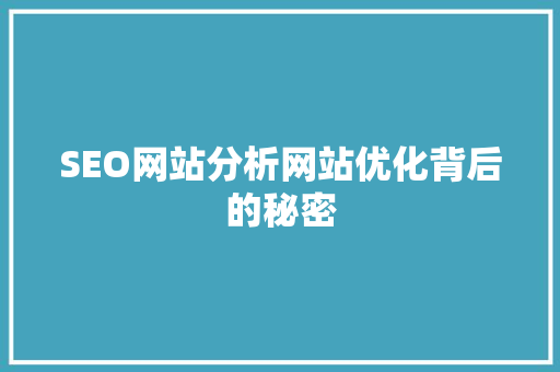 SEO网站分析网站优化背后的秘密