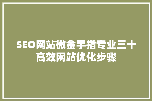 SEO网站微金手指专业三十高效网站优化步骤