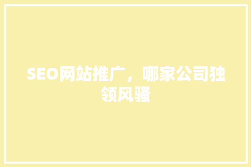 SEO网站推广，哪家公司独领风骚