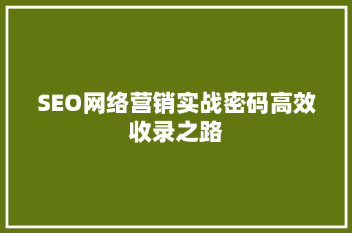 SEO网络营销实战密码高效收录之路