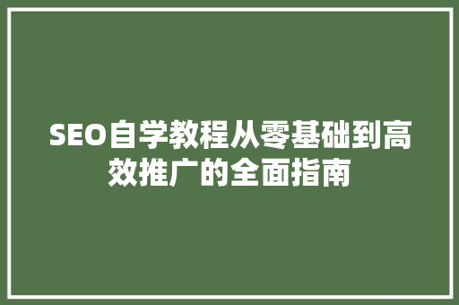 SEO自学教程从零基础到高效推广的全面指南