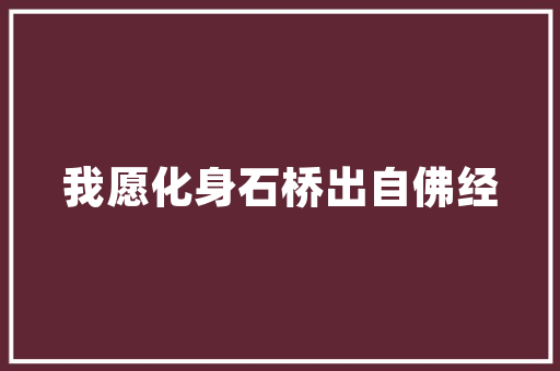 SEO设计方法例子分析成功网站优化之路