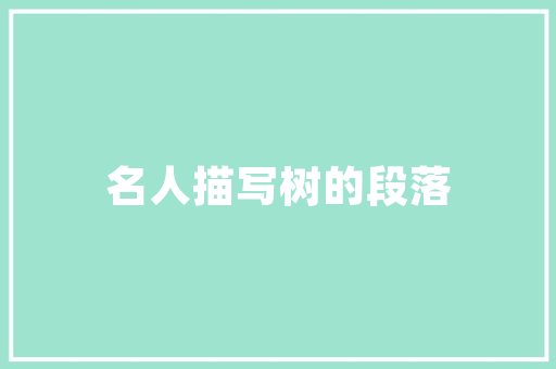 SEO课程搜索引擎优化之路
