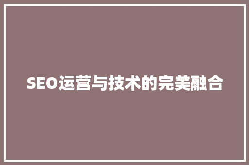 SEO运营与技术的完美融合