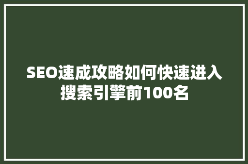 SEO速成攻略如何快速进入搜索引擎前100名