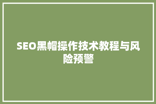 SEO黑帽操作技术教程与风险预警