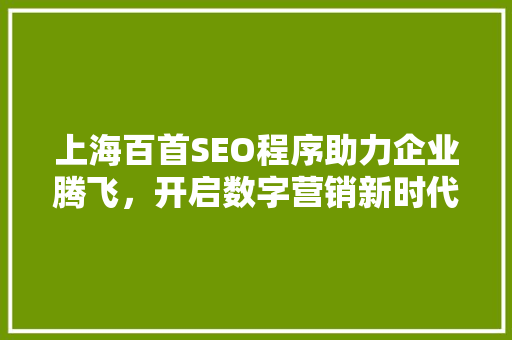 上海百首SEO程序助力企业腾飞，开启数字营销新时代