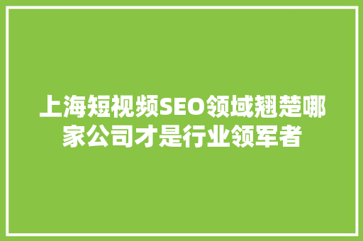 上海短视频SEO领域翘楚哪家公司才是行业领军者