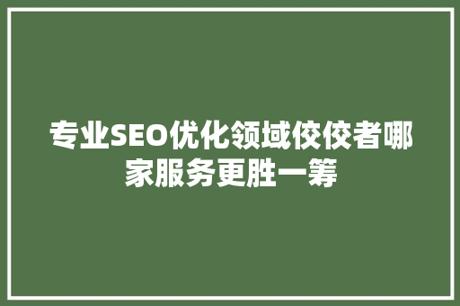 专业SEO优化领域佼佼者哪家服务更胜一筹