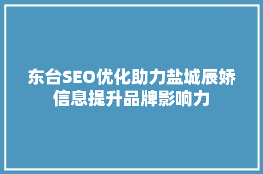 东台SEO优化助力盐城辰娇信息提升品牌影响力