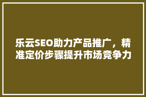乐云SEO助力产品推广，精准定价步骤提升市场竞争力