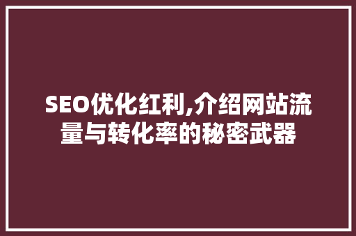SEO优化红利,介绍网站流量与转化率的秘密武器