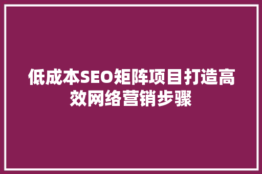 低成本SEO矩阵项目打造高效网络营销步骤