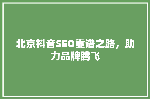 北京抖音SEO靠谱之路，助力品牌腾飞