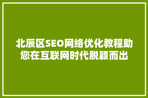 北辰区SEO网络优化教程助您在互联网时代脱颖而出