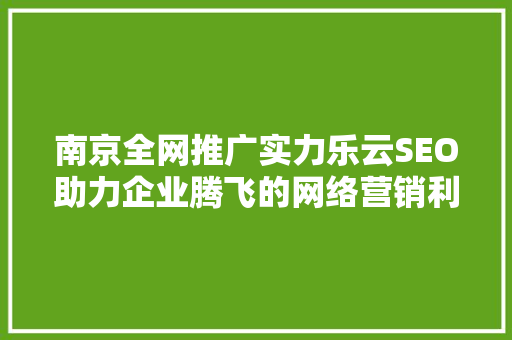南京全网推广实力乐云SEO助力企业腾飞的网络营销利器