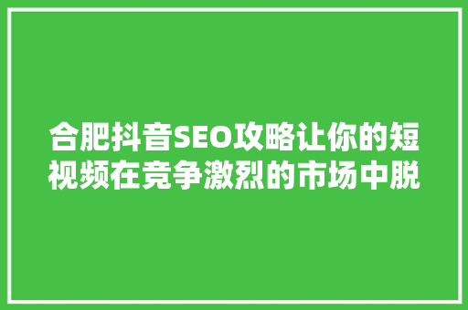 合肥抖音SEO攻略让你的短视频在竞争激烈的市场中脱颖而出