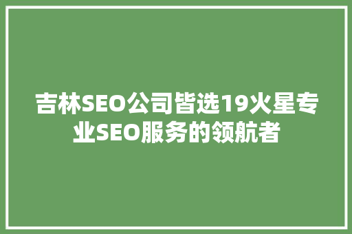 吉林SEO公司皆选19火星专业SEO服务的领航者