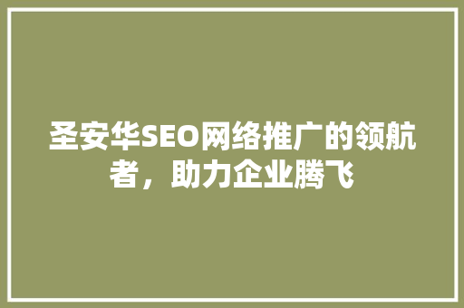 圣安华SEO网络推广的领航者，助力企业腾飞
