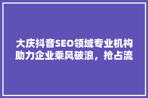 大庆抖音SEO领域专业机构助力企业乘风破浪，抢占流量高地
