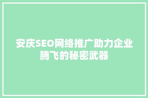 安庆SEO网络推广助力企业腾飞的秘密武器
